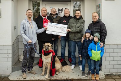 Tierliebe Fußballfans spenden ans Tierheim