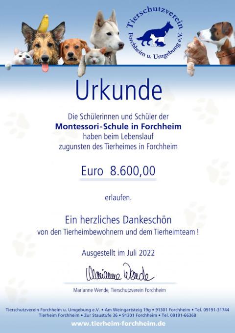 Lebenslauf der Montessorischule