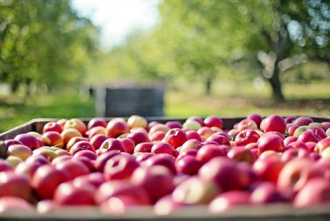 Obst- und Gemüse Seubert verkauft Kaffee und Kuchen gegen Spende