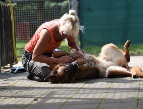 Tierpfleger/in (m/w/d) in Voll- oder Teilzeit gesucht