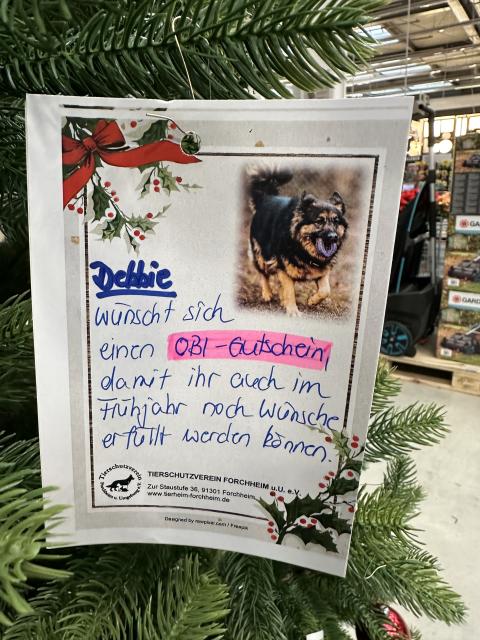 Weihnachten für die Tiere