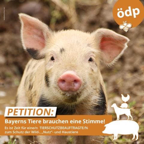 Petition: Bayerns Tiere brauchen eine Stimme