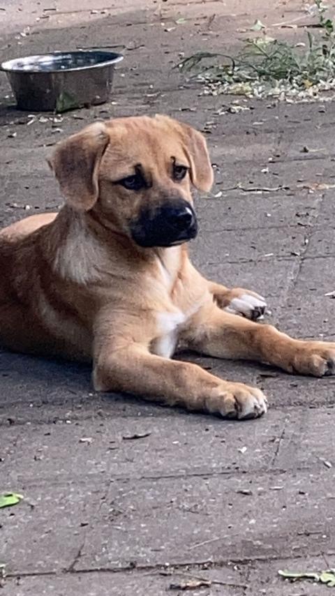 Billy