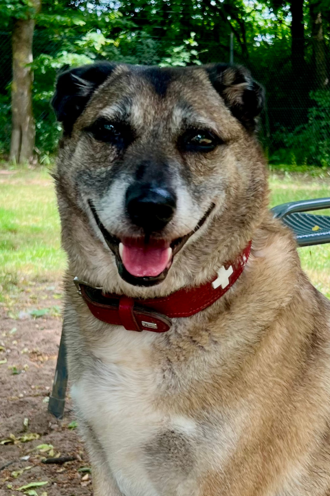 Sheila