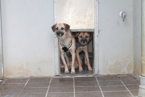 Benni und Lory