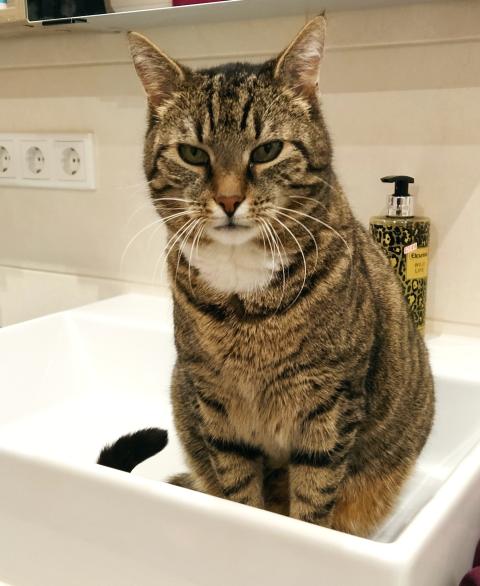 Winnie