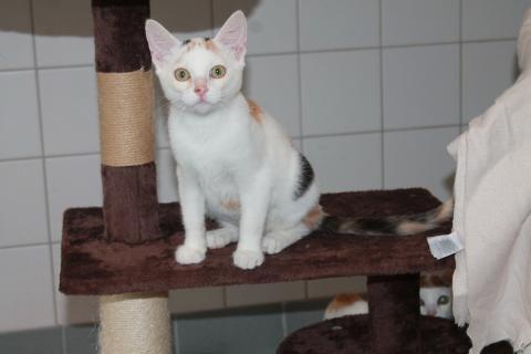 Krümel und Kimba